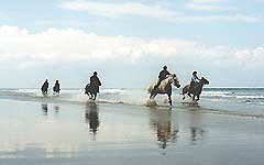 Horse Riding on Holy Island Beach - Kimmerston Riding Centre